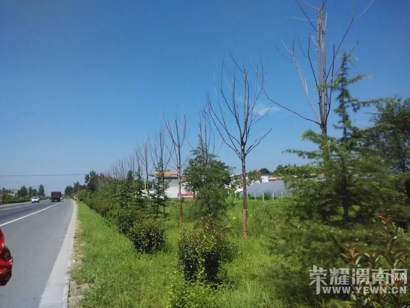 μ���ߵ����������������ӡ�󶼲����ˡ�