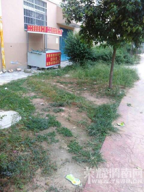 164352nu4umi7gmbs7mfmv.jpg