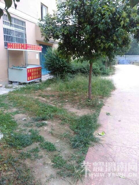 164352vo5f5alar1cza61w.jpg