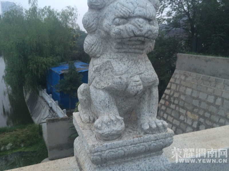 ��С����Щʨ����ô����������ױ��������զ���ò����أ�