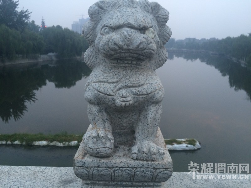 ��С����Щʨ����ô����������ױ��������զ���ò����أ�