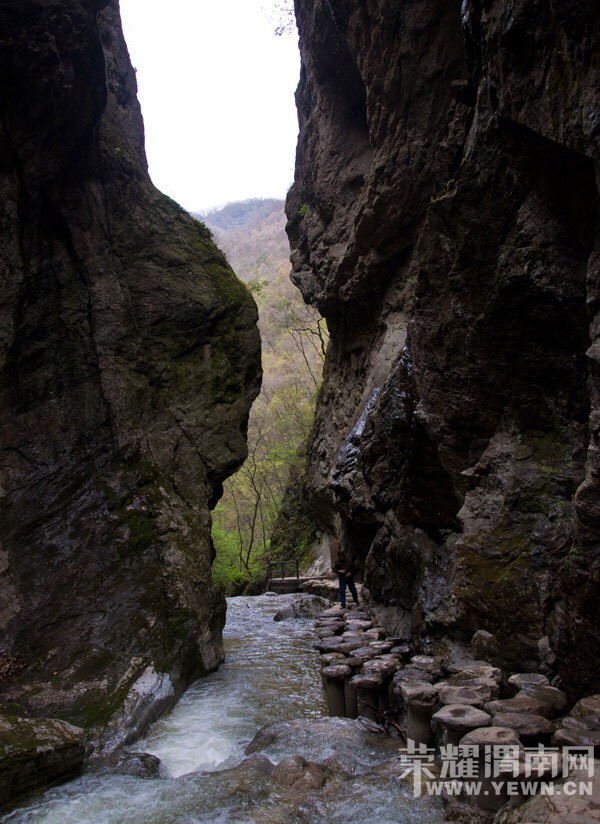 142503yrzoddgdrorr774l.jpg