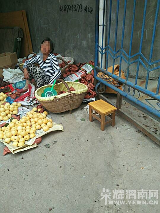 144041joe0x7roxe8e2880.jpg