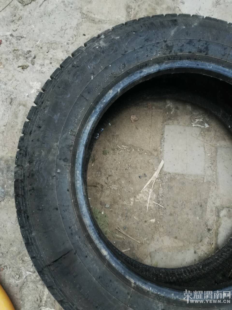 ��������ǧ���������̥���������ж೤��