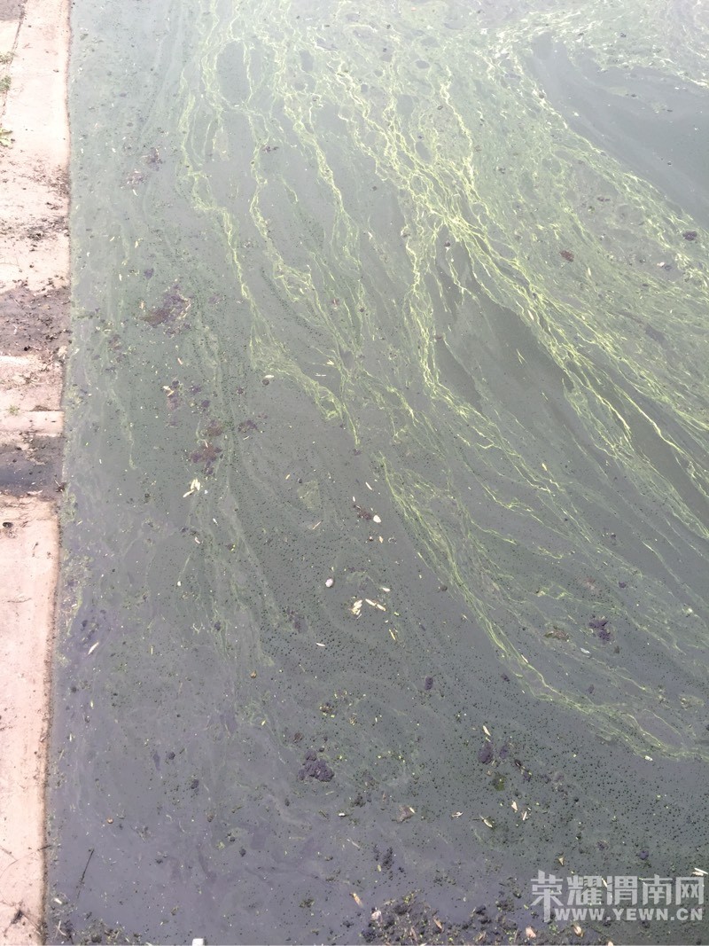 μ���Ⱥӵ�˯�����̸���ˮ�������ô�ұ��������ǵĺ�ˮ