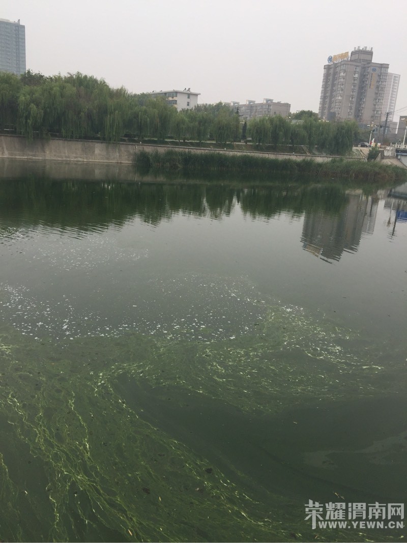μ���Ⱥӵ�˯�����̸���ˮ�������ô�ұ��������ǵĺ�ˮ