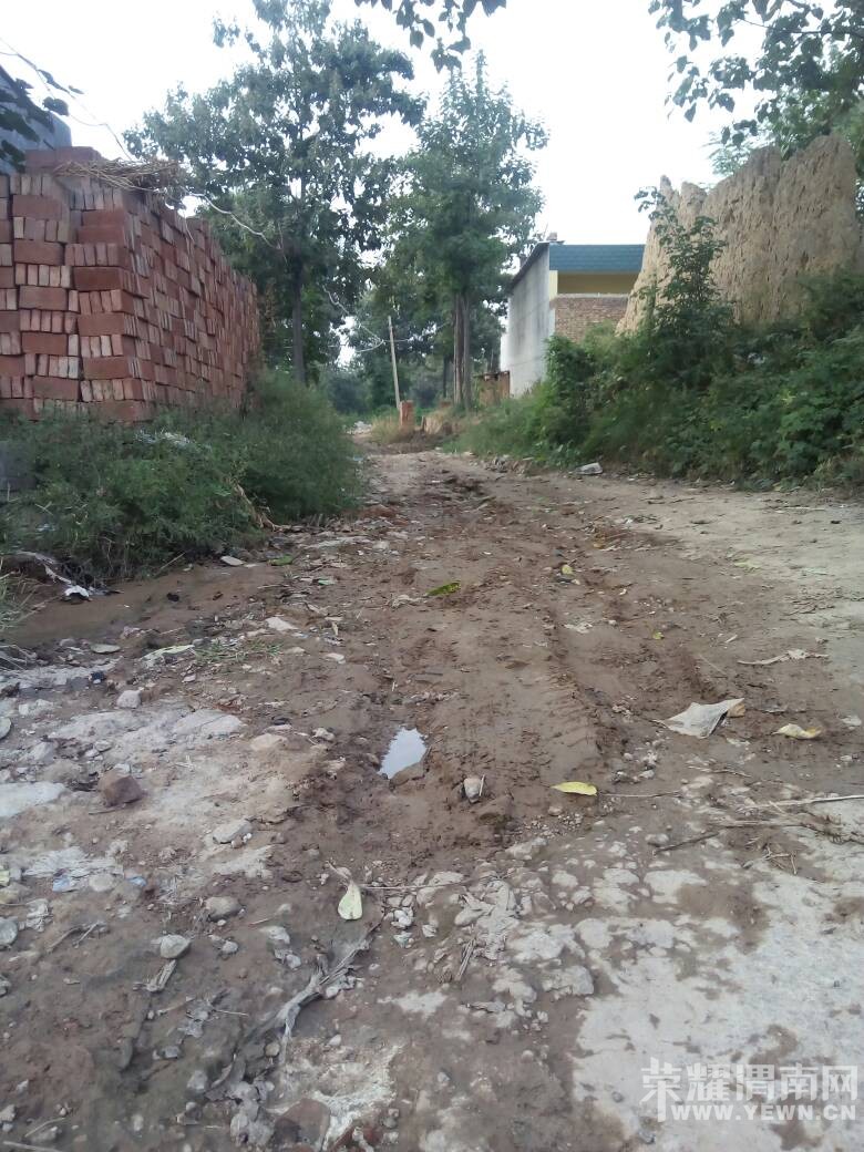 μ������μ���ִ����޼Ҵ�����ʮ���޷����ߣ�
