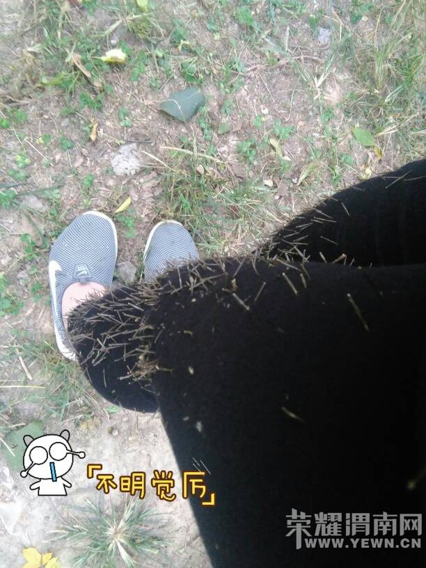 180033cjcq36q7lzvjejct.jpg