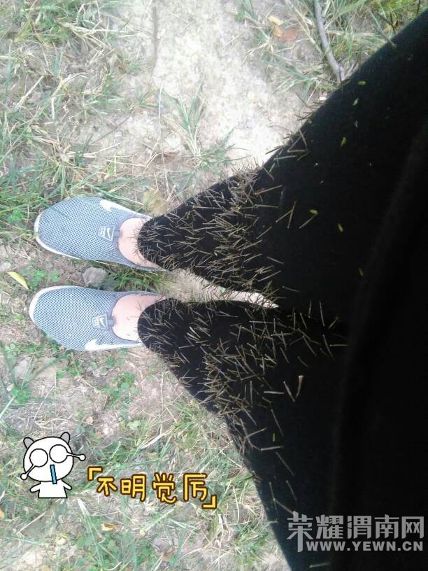 180033fvfxff94feslj3ee.jpg