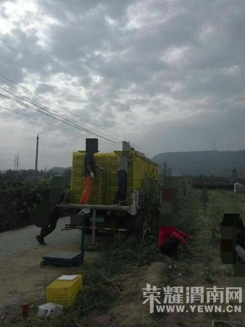164512frj0mq9k7t9fn88t.jpg