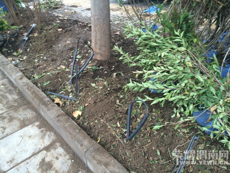 090907kzgkhbmh6ah4ukph.jpg