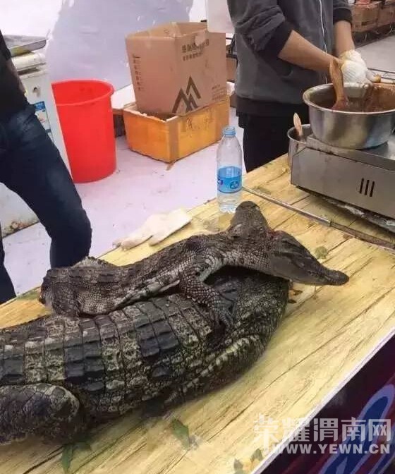 �ҿ���ν��������ʳ�ڡ�����Ļ��ƭ�����������ƭ��μ���ˣ��絳��ǧ����ϵ���