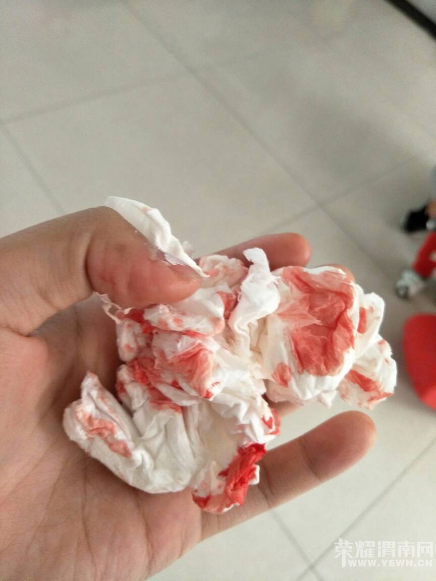 112601s0gxf6zefl2x429t.jpg
