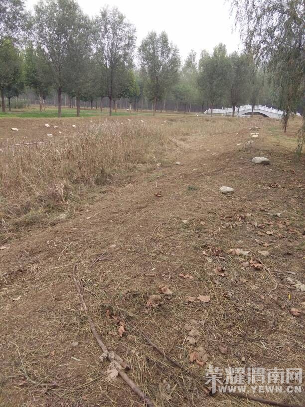 �����ֵ��˹��������ܳ�֮Ϊ����