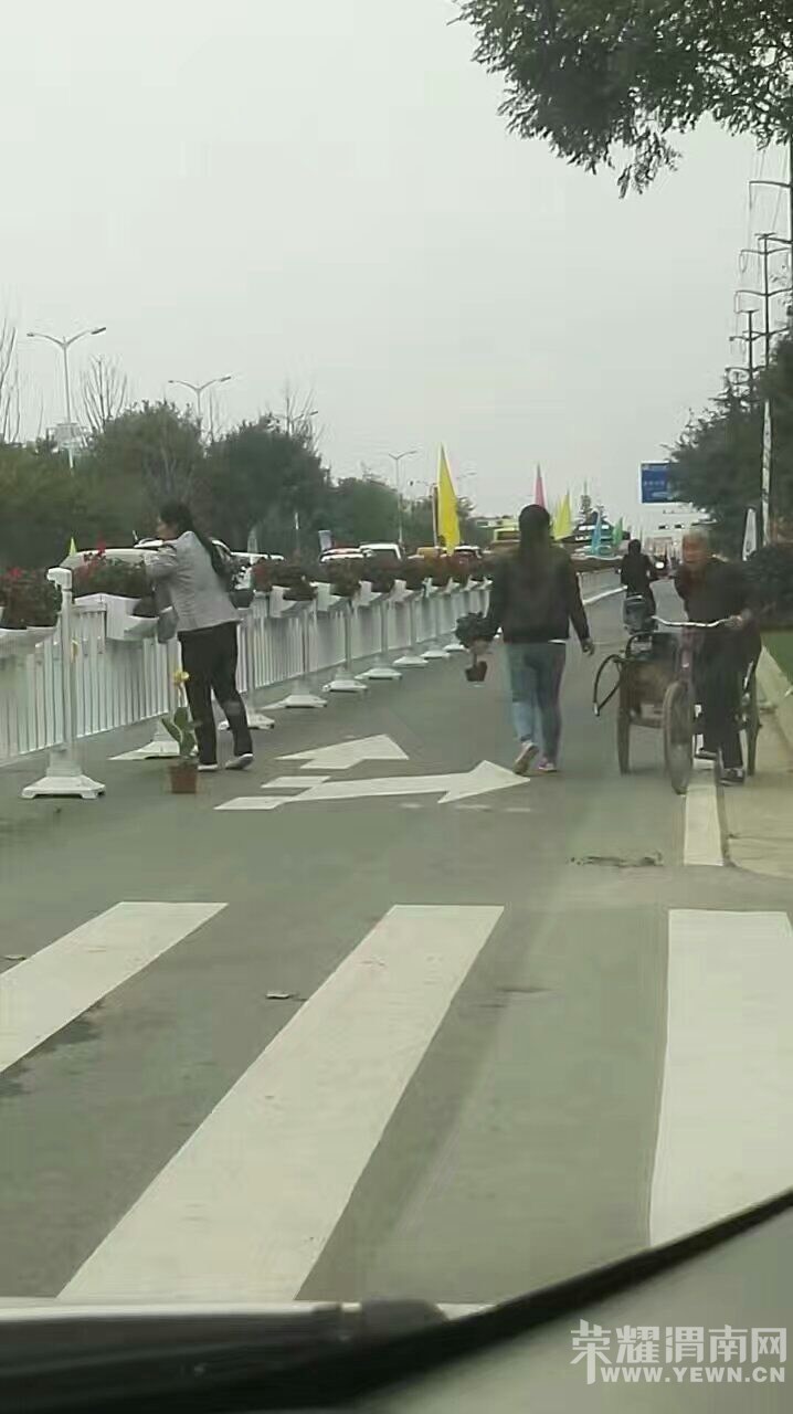 164625ihrznpajjgaat1jh.jpg