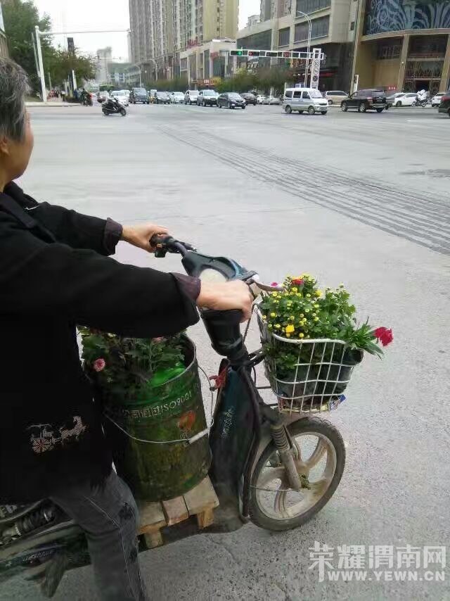 165450jdpbpkt7zqydq7ky.jpg