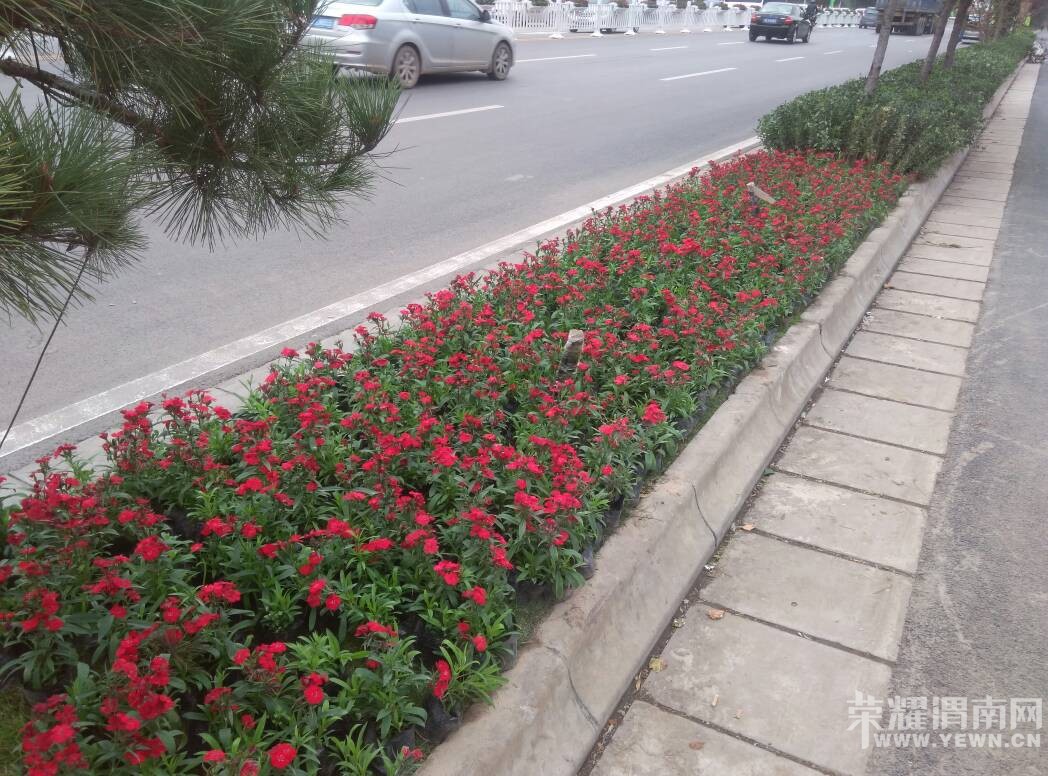 ��һ��������Ĳ�һ����¶������������Ϸ�����