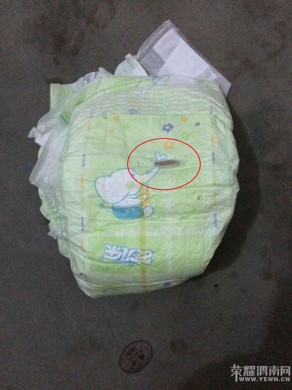 �����õ���ʪ�ﾹȻ�г���������ĺ��ڡ�