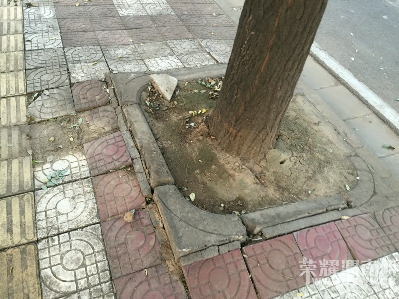 ��˴���������ôС����ô�����ɳ����з�չ���