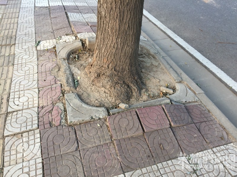��˴���������ôС����ô�����ɳ����з�չ���