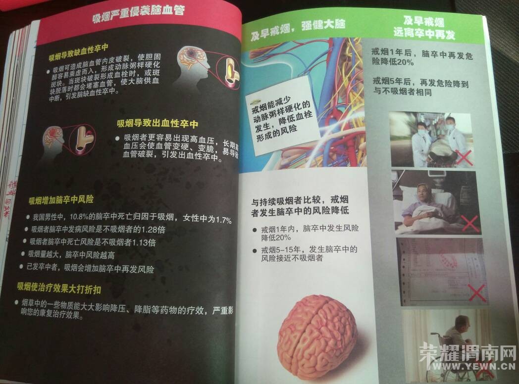 105442h1emugr718werggw.jpg