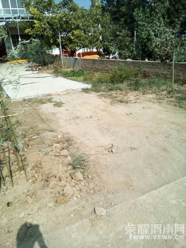 125139kdndi4l5mbmgn0za.jpg