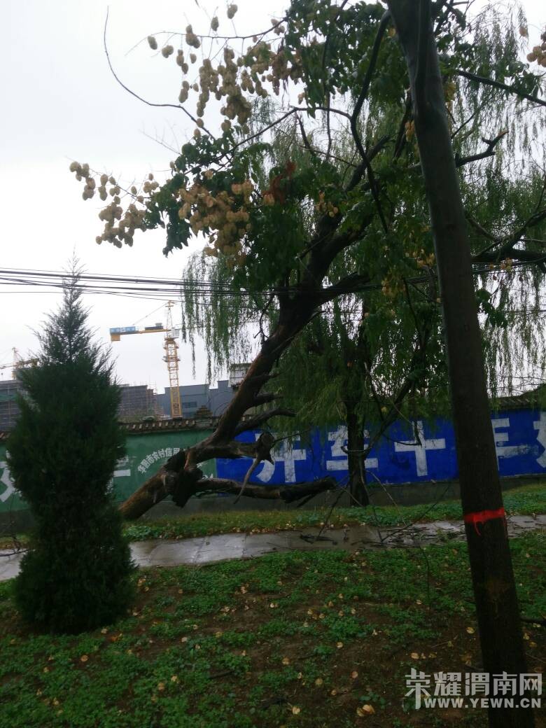 �ⳡ���µİѵ��߶�ѹ���ˣ����йز�����������