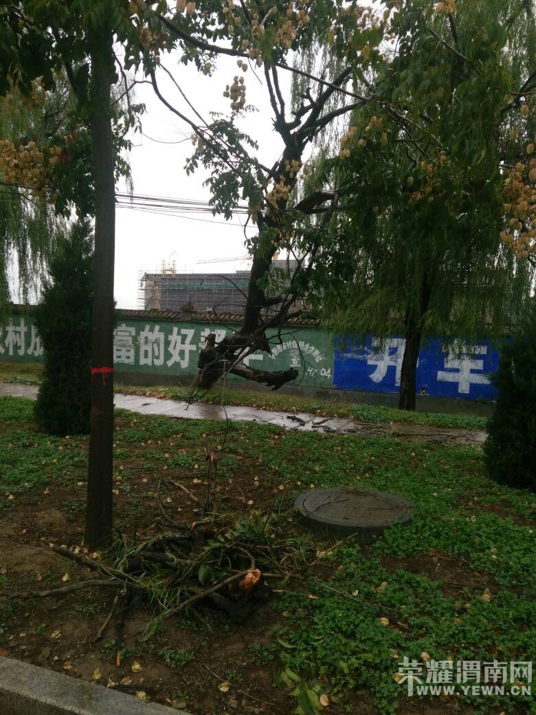 �ⳡ���µİѵ��߶�ѹ���ˣ����йز�����������