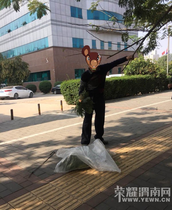 ��զ������·�����˺�Ұ������·��ժ��Ҷ�أ�
