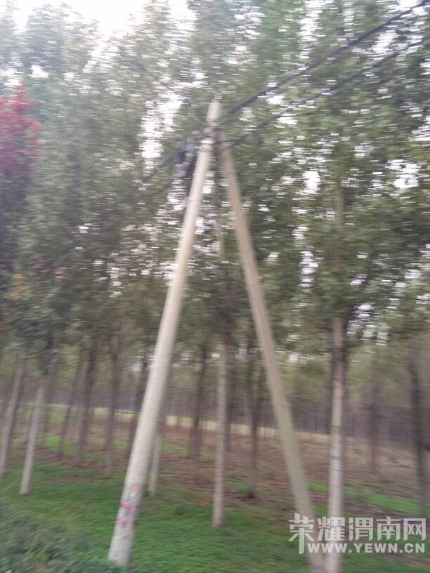 ������˺����ܣ���������ͻȻ��ֲ�ס���°�