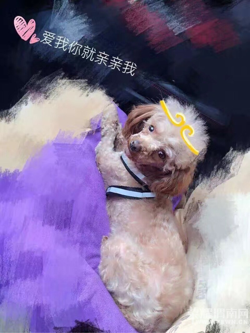 232045a4gz3p8gyg4d9y4u.jpg