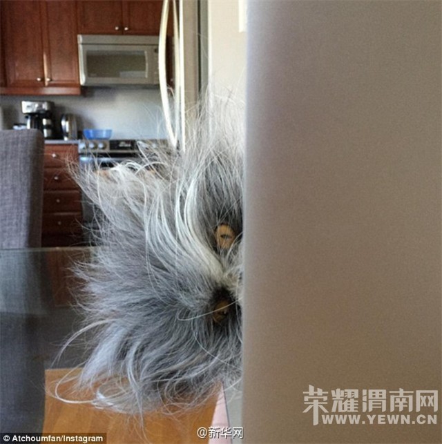 ����仰�⡿����Ǹ�è���Ǹ�����