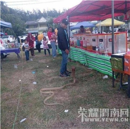 ��ʵ���°����Ӵ��棬Ȣ3�׳��۾���Ϊ�޵�����