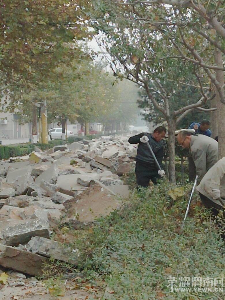 185922xc16ilffnw8ndvd1.jpg