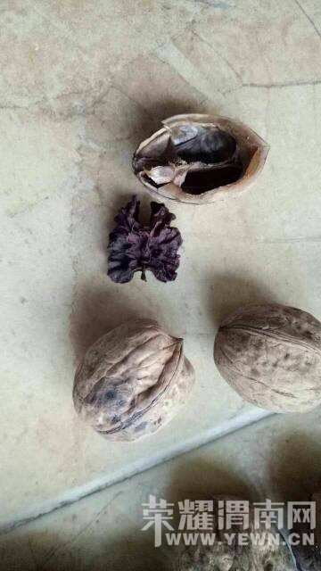 ��������޵�Ů����μ���˵ĳ���