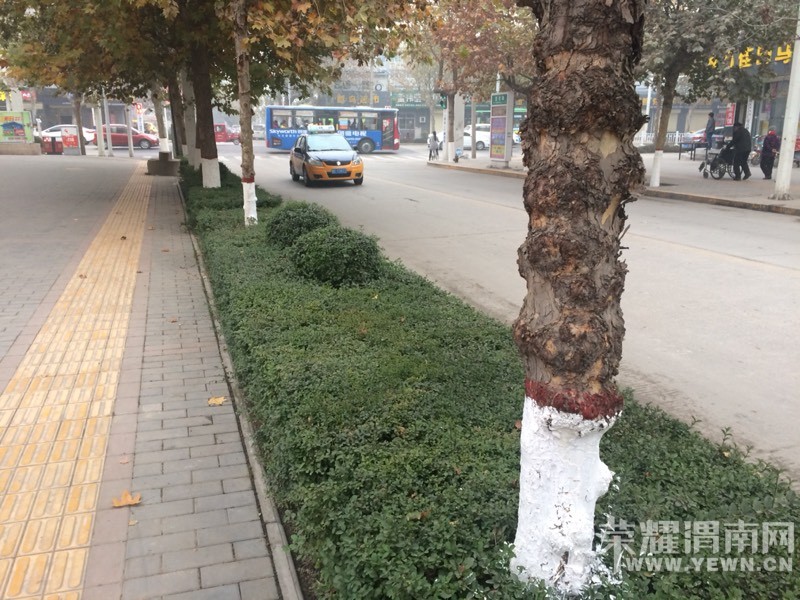 �������ֱ�ů��μ�ϵ�С���ǲ��������ˡ���