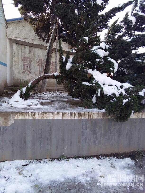 ��ѩ��Ȼѹ������������Ȼ��ǿ������
