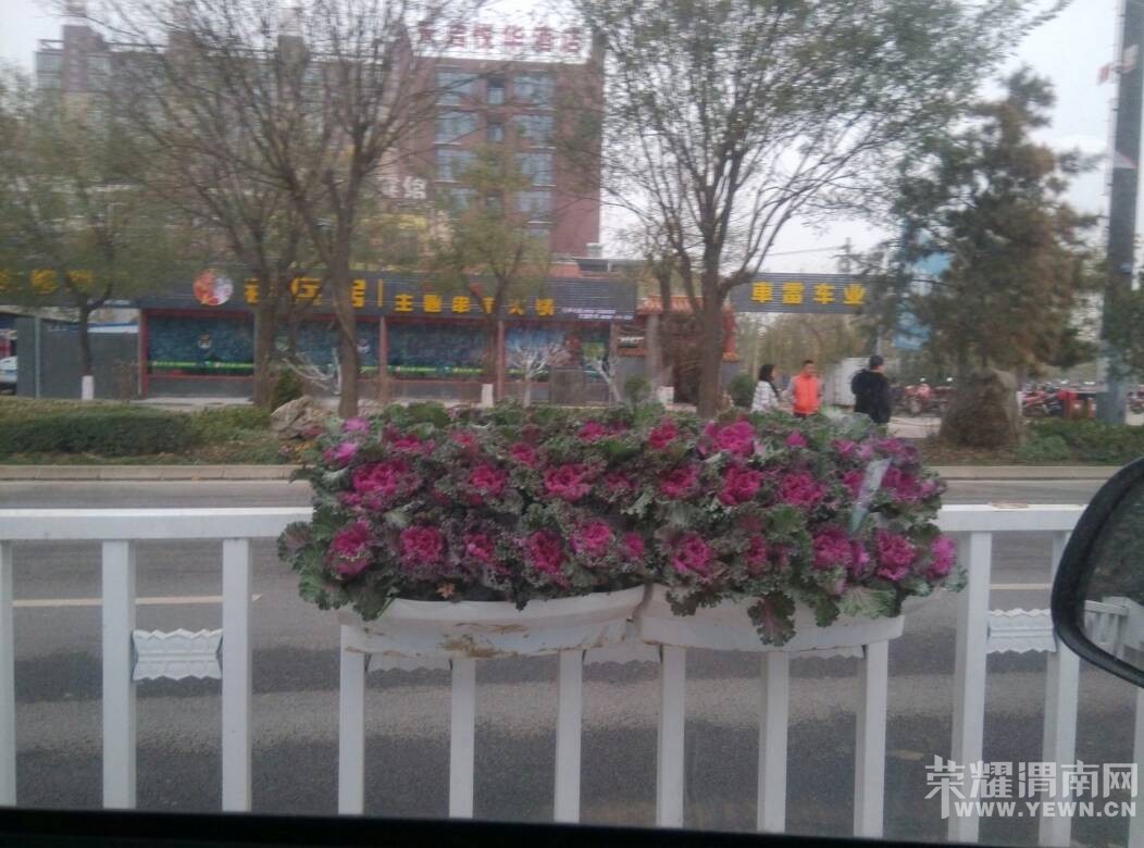 ����������գ�����·�ĸ�����Ͻ���ȫ���������»�