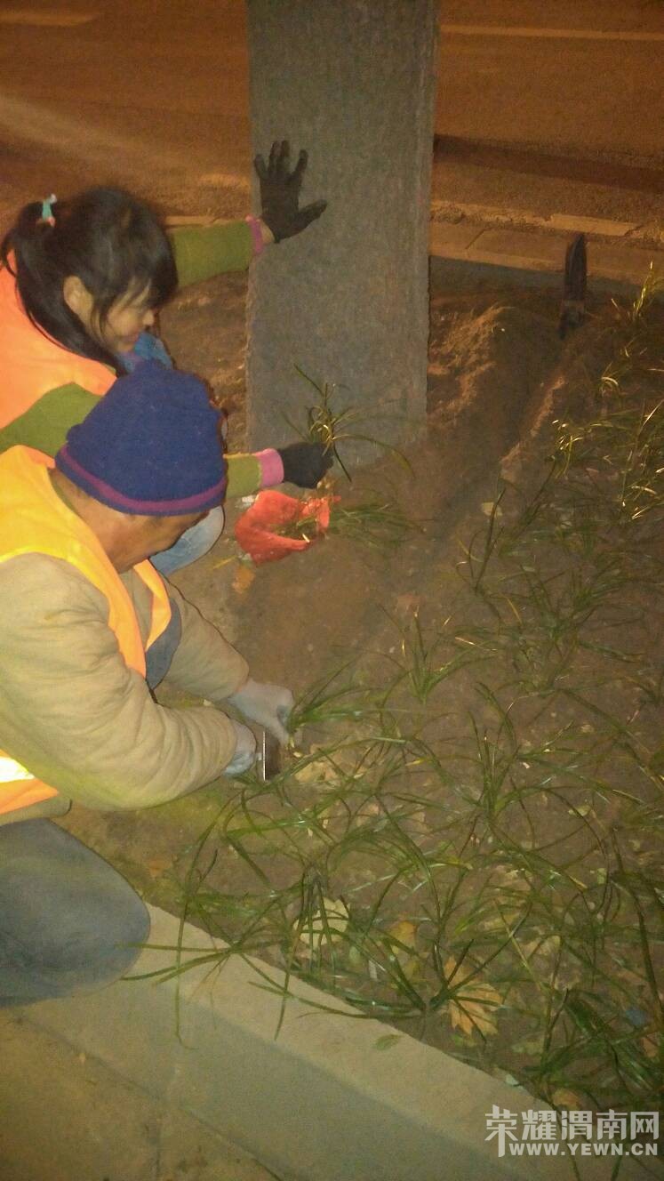 ������ʢ·�϶Σ��������̻�������ֲ�ͽ�ˮ���Ӱ�ɻ�̻�μ��