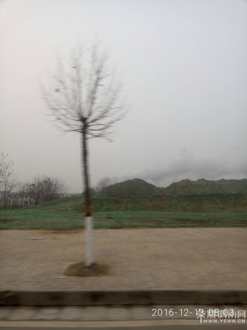 185830abni9ev60n4cvnve.jpg