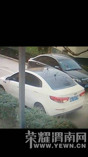 mmexport1482555680930.jpg