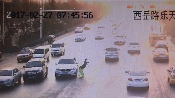 ea3945629237ed6c07d3c0b76d4e4cfb.mp4_1488166535.gif