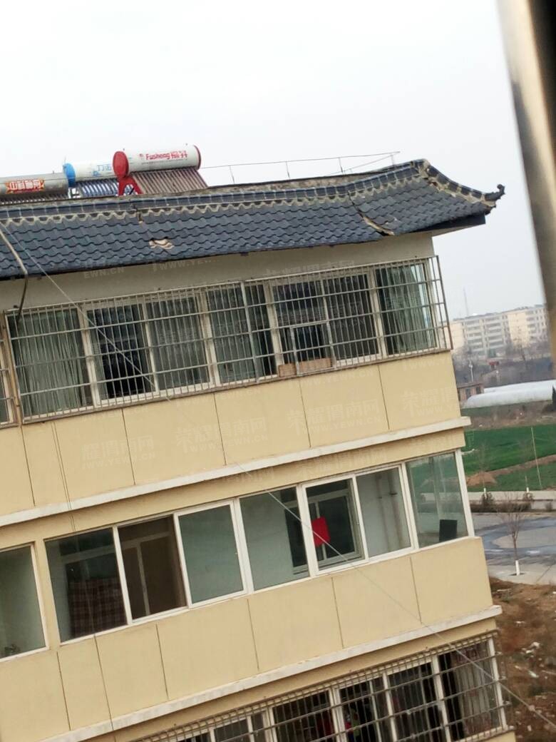 182500c0skzidxxg60gofs.jpg