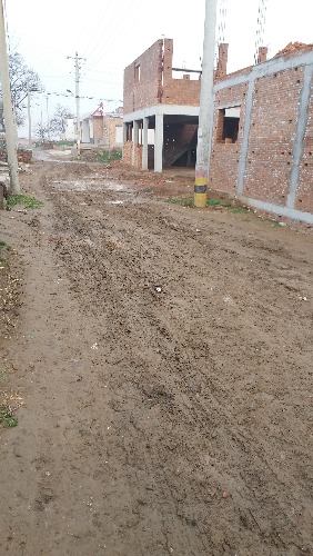 20170316_082709.jpg