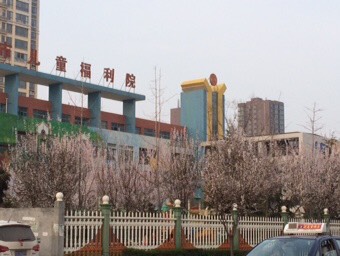 115104zhd2ymyylqxipfeh.jpg