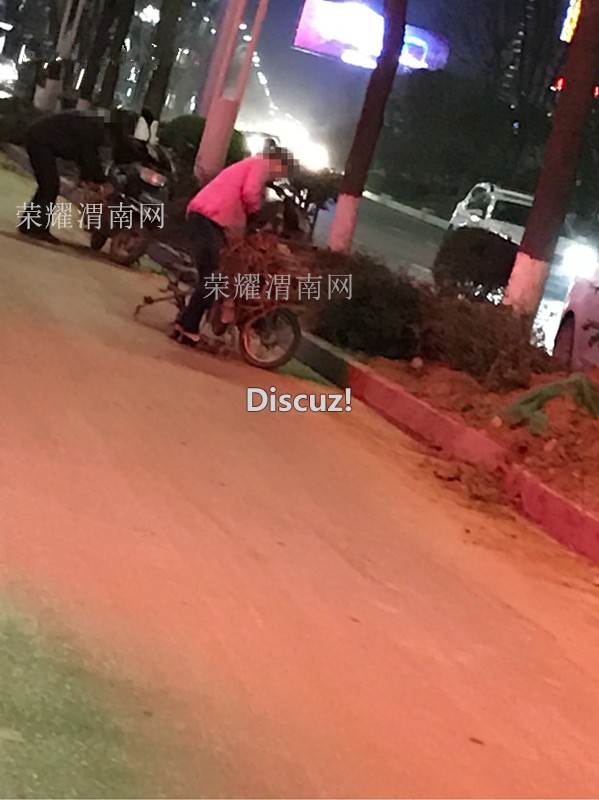 11_����.jpg