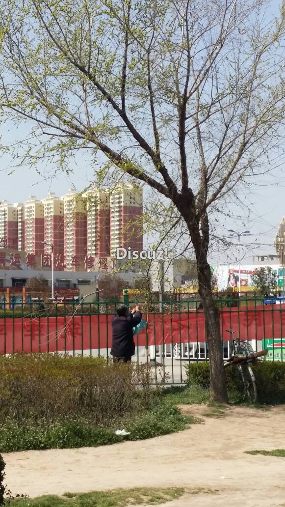 214933qkhi35yb67cwi5zc.jpg