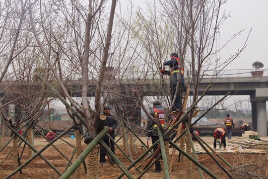 110455kavmsaveqisvpxvx.jpg