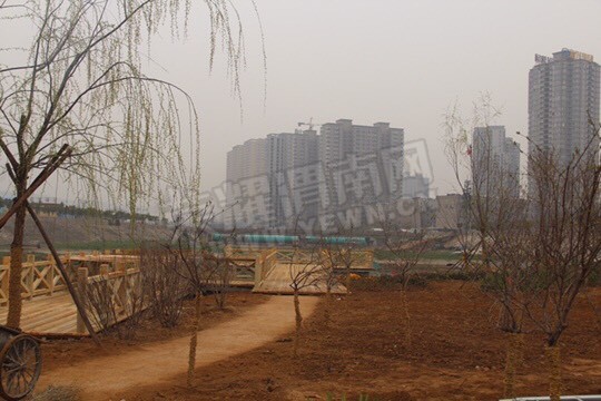 110456cee1o1649744f6fr.jpg