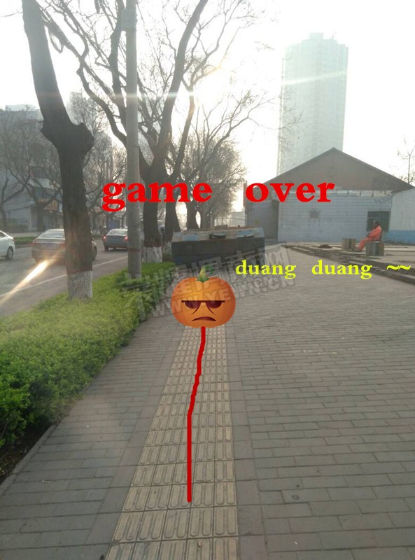 123511h2c88ud7gxsbcc7b.jpg